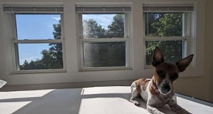 Discounted Stays | 2BR | Dog-Friendly | King | A/C