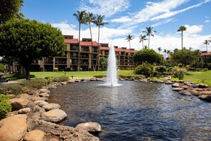 Property grounds - Kamaole Sands Getaway: 1BR/2BA, Steps to Beach! (Kihei)