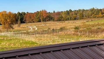 住宿场地
