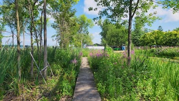 Terrain de l’hébergement