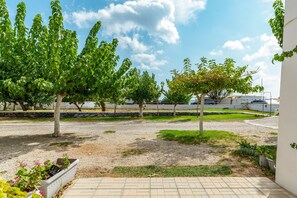 المنطقة المحيطة بالمنشأة