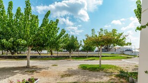 Un pati amb arbres, un camí de grava i un edifici blanc.