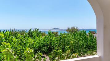 Terrain de l’hébergement