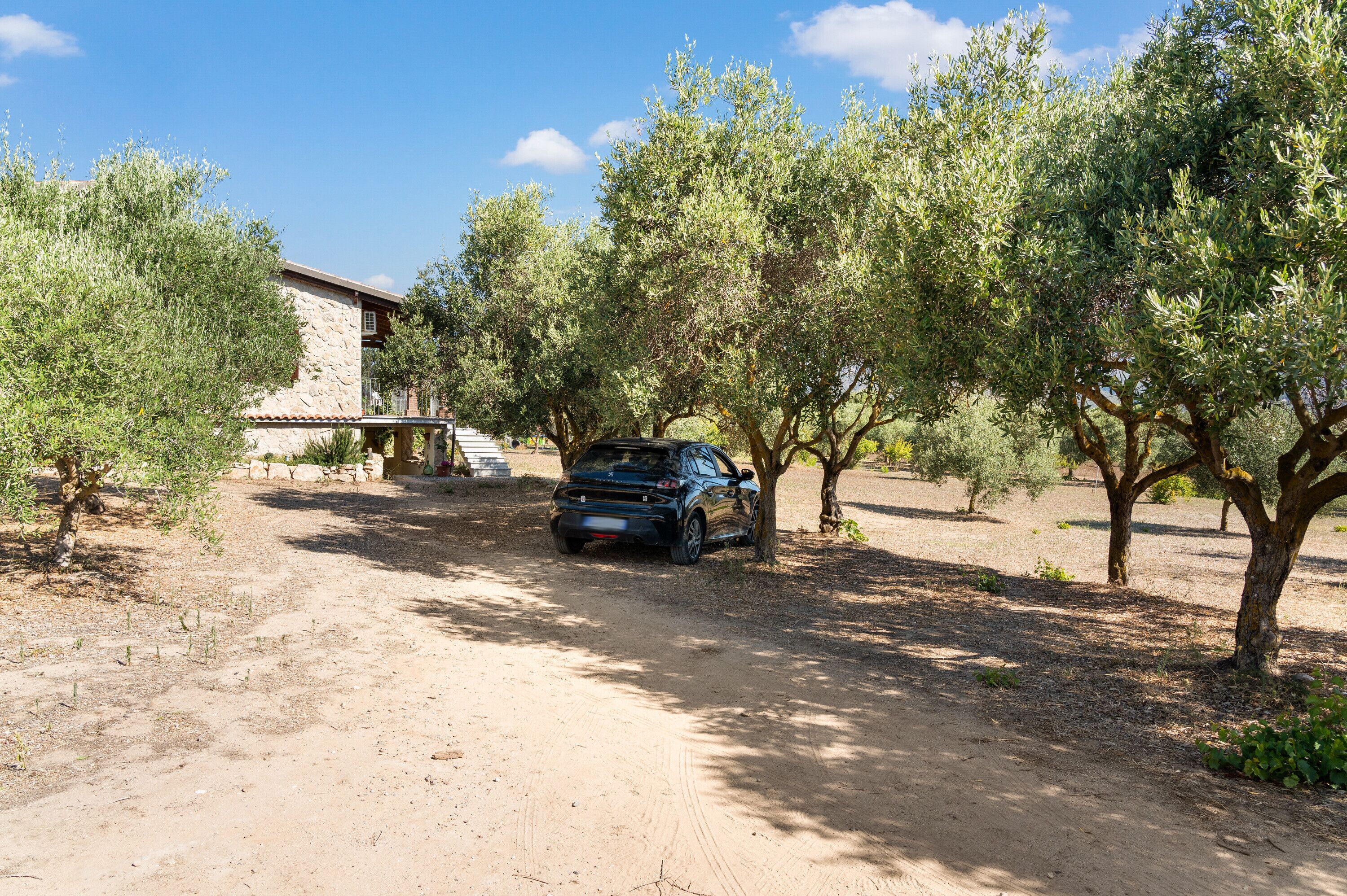 Áreas de la propiedad