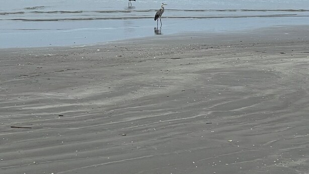 Playa
