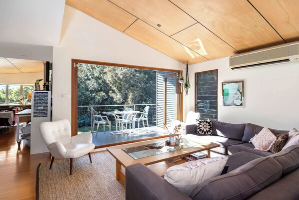 TV, fireplace, books