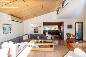 TV, fireplace, books