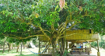 Exclusive Glamping Adventure in a Private Island with 360 degree Lake View