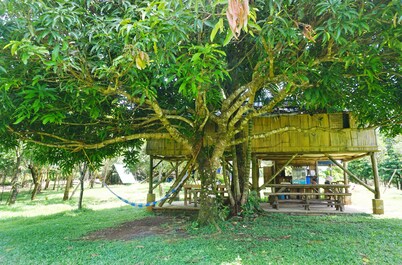 Exclusive Glamping Adventure in a Private Island with 360 degree Lake View