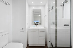 Shower, hair dryer, towels