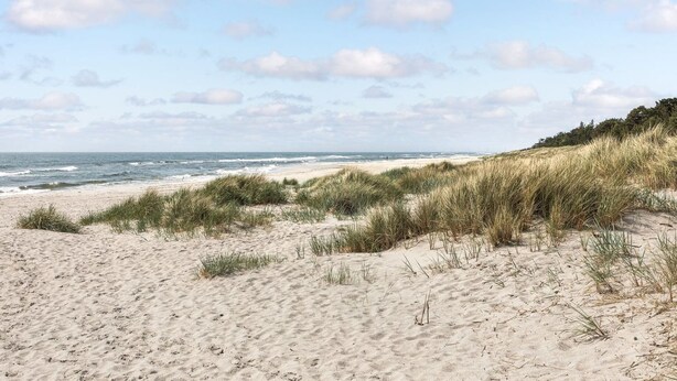 A sandy beach with dunes and a clear sky. - "Tume" - 200m from the sea by Interhome (Nexø)