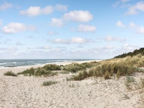 A sandy beach with dunes and a clear sky.