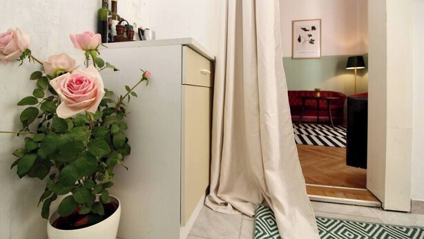 A hallway with a potted rose plant, a cabinet, and a doorway leading to a room with a patterned floor and a red sofa. - Romantic Urban Living (Vienna)
