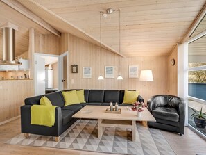 Tv, pejs, dvd-afspiller