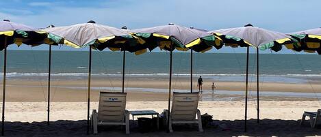 بالقرب من الشاطئ