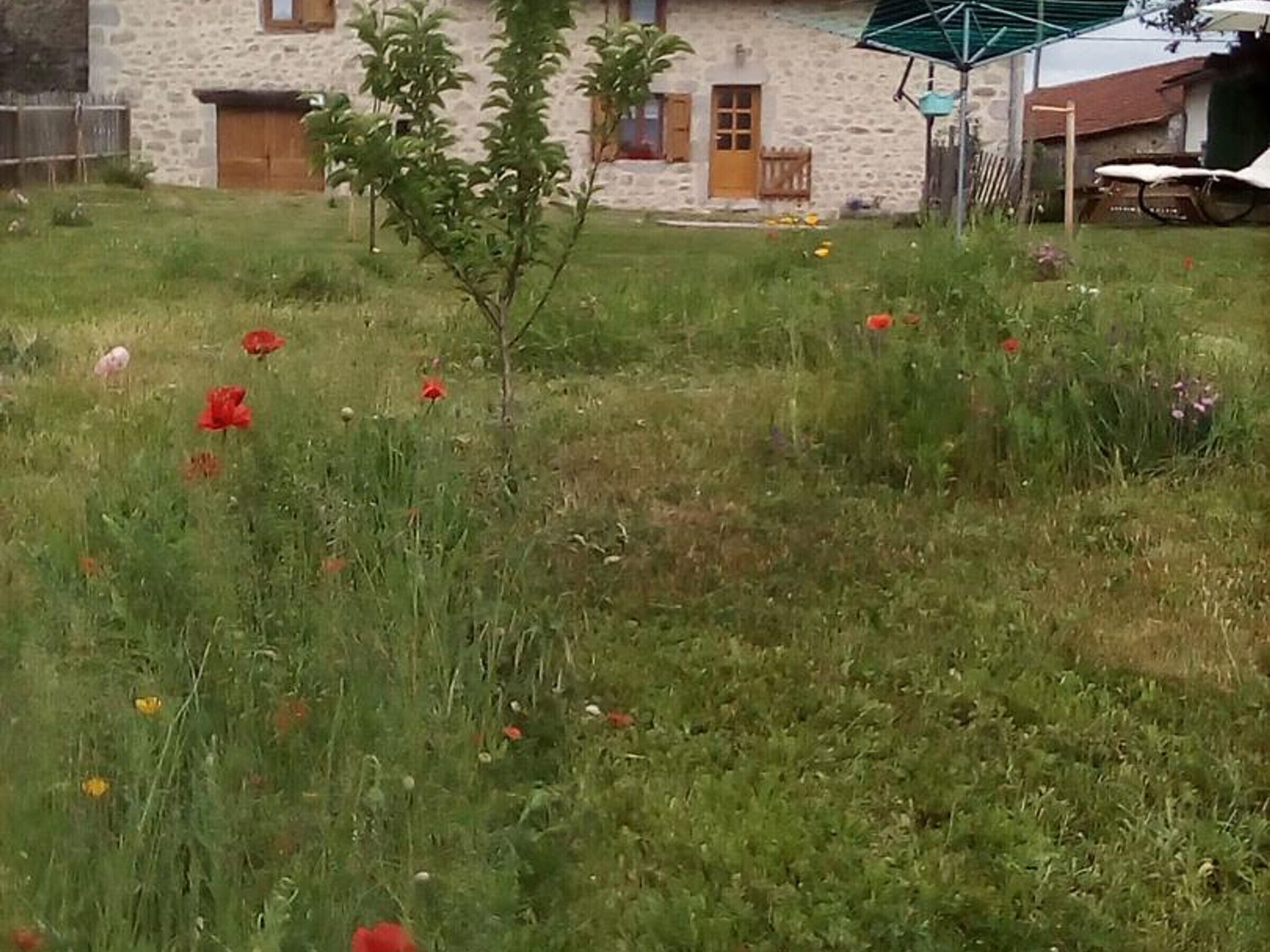Gite Le Rouget-Pers, 4 bedrooms, 8 persons