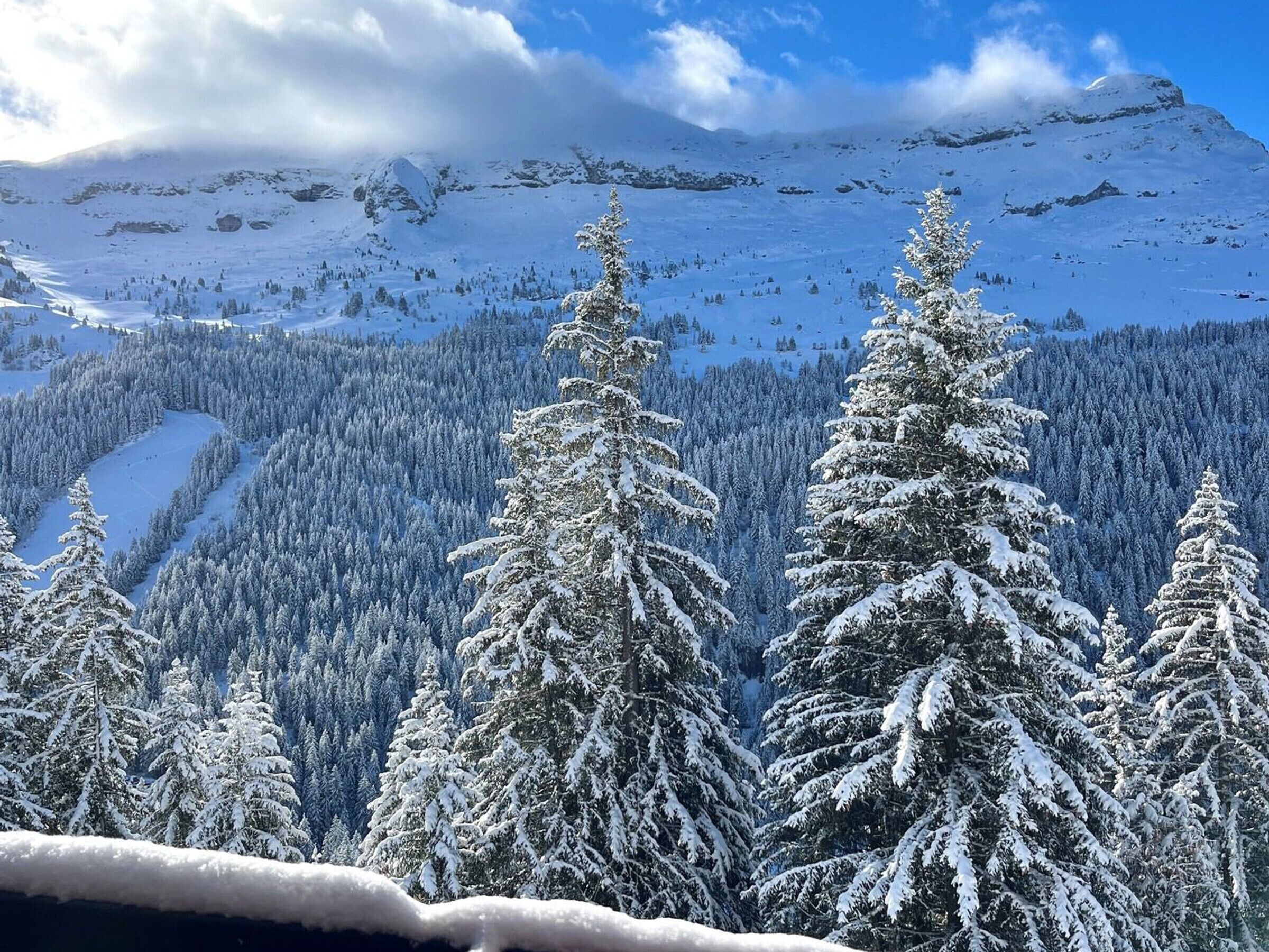 A snowy mountain landscape with dense forests and a clear sky.