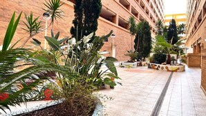 A multi-level atrium with a tiled floor, surrounded by various potted plants and trees. - ACV - Torremar-2nd floor line 5 Front 4 (OROPESA)