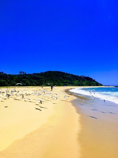 Cosy mud brick  cottage in a serene bush setting, near Tathra.