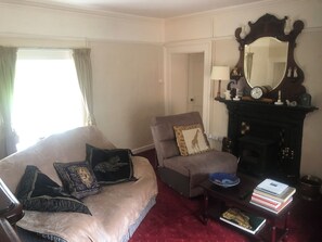 TV, fireplace, books