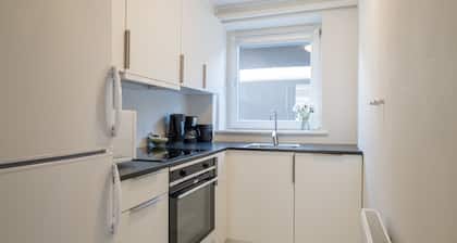 Newly Renovated 1-bed Apartment in Aalborg