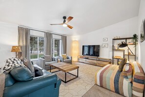 Smart TV, fireplace, books