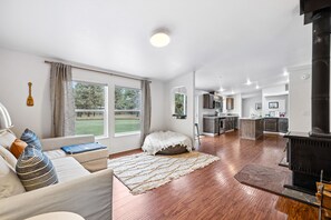 Smart TV, fireplace, books