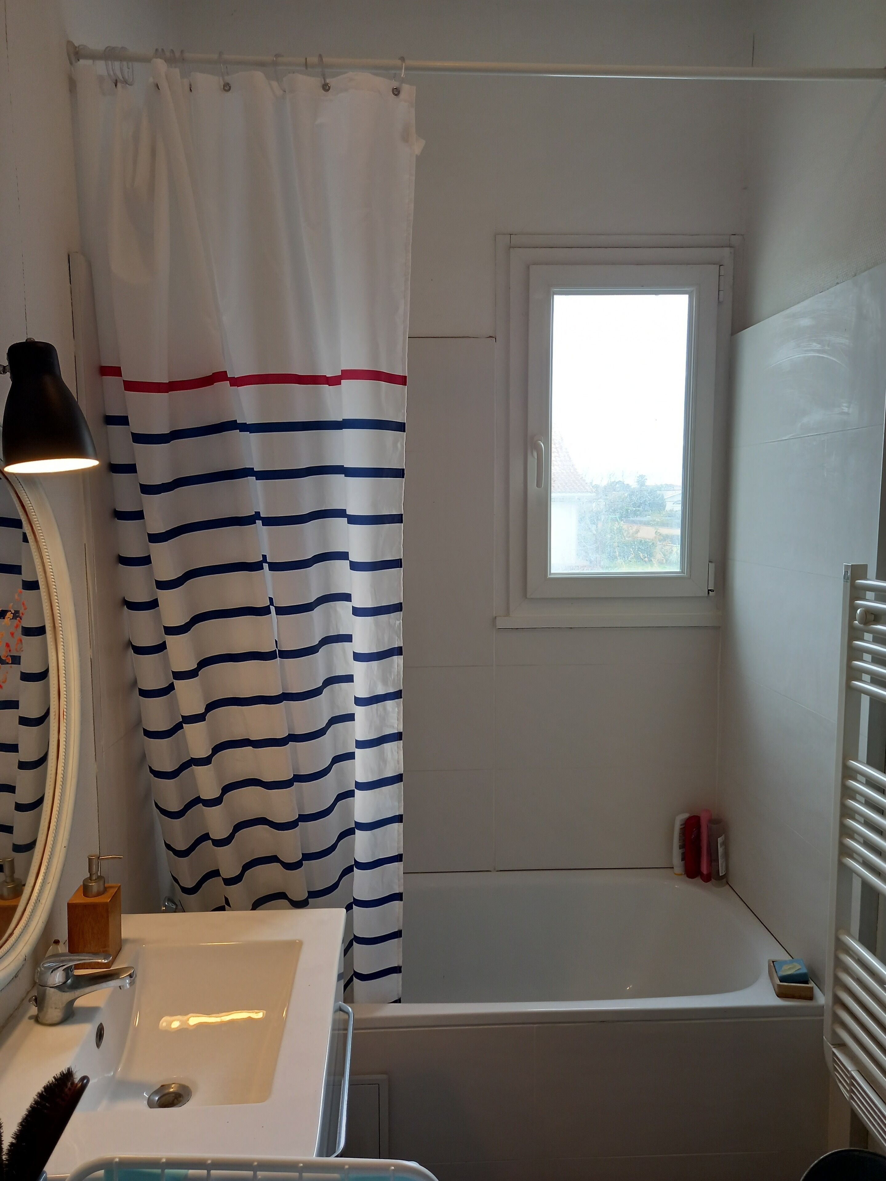 Een haardroger, zeep