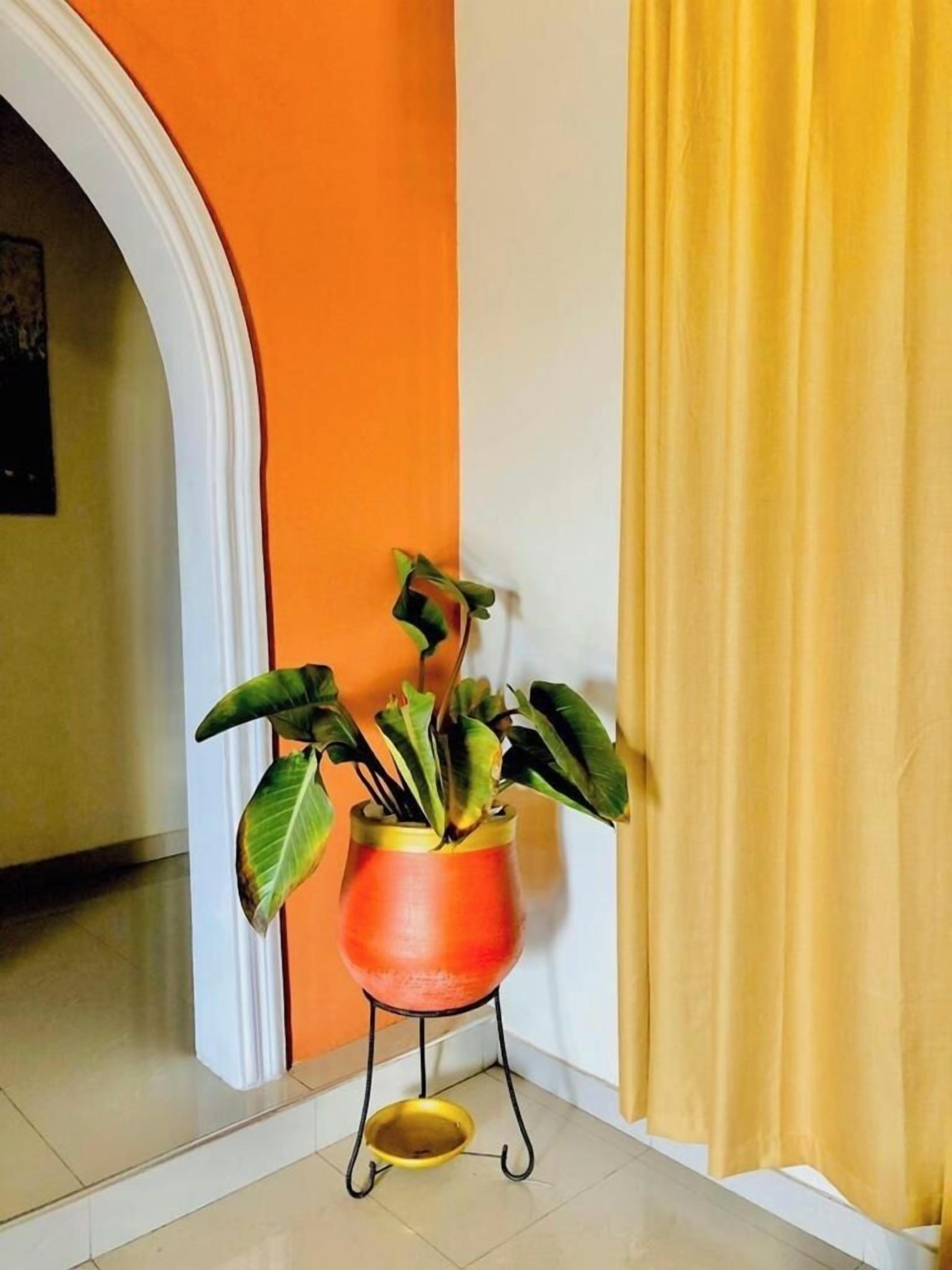 A potted plant on a stand in a hallway with orange and white walls.