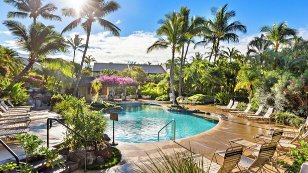 A resort pool area with lounge chairs, palm trees, and a clear blue sky.