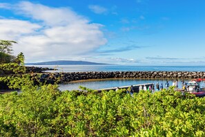 A coastal area with a rocky breakwater, calm water, and lush greenery. - Spacious 1bd, ground floor, lanai, walk to beach (Kihei)