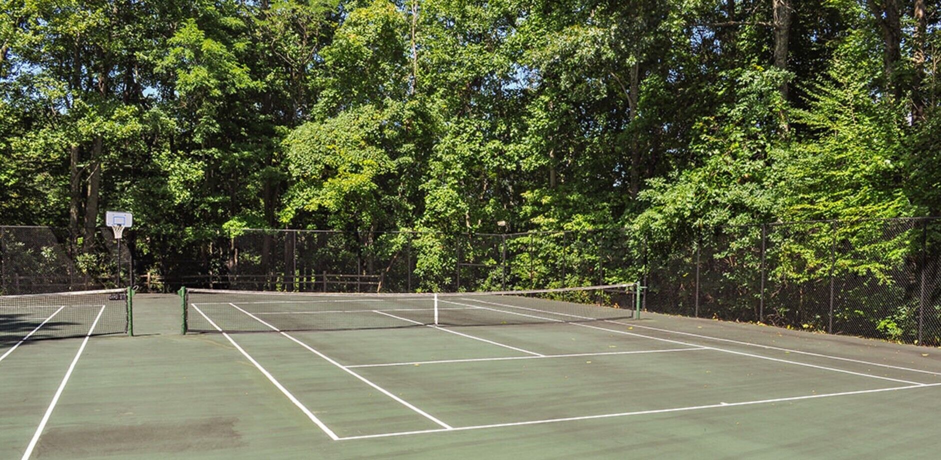 Een buitenbaan voor tennis, omringd door bomen.