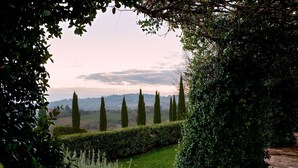 Un jardín con setos bien cuidados, un sendero de piedra y altos cipreses al fondo.