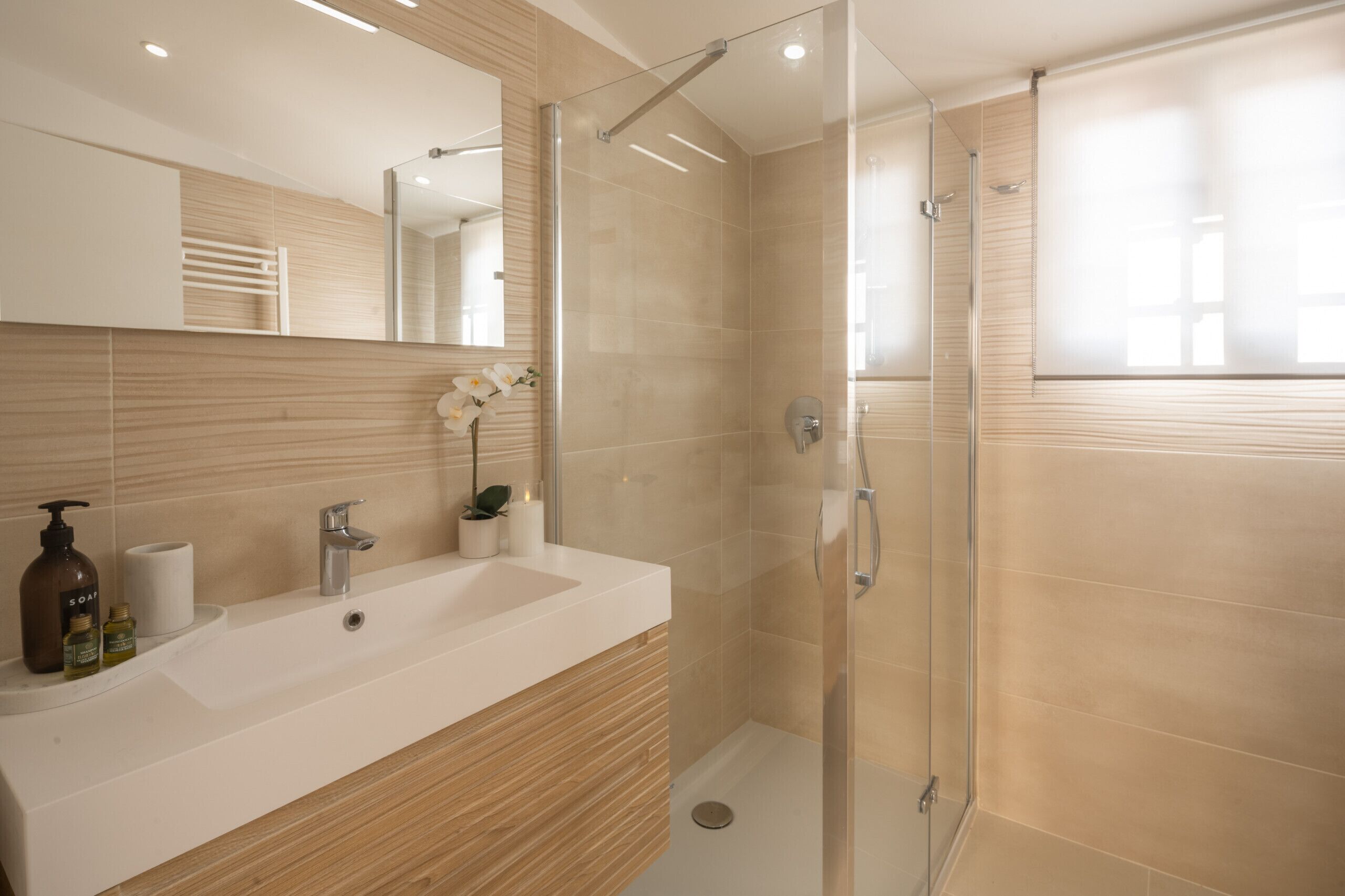 Shower, hair dryer, towels