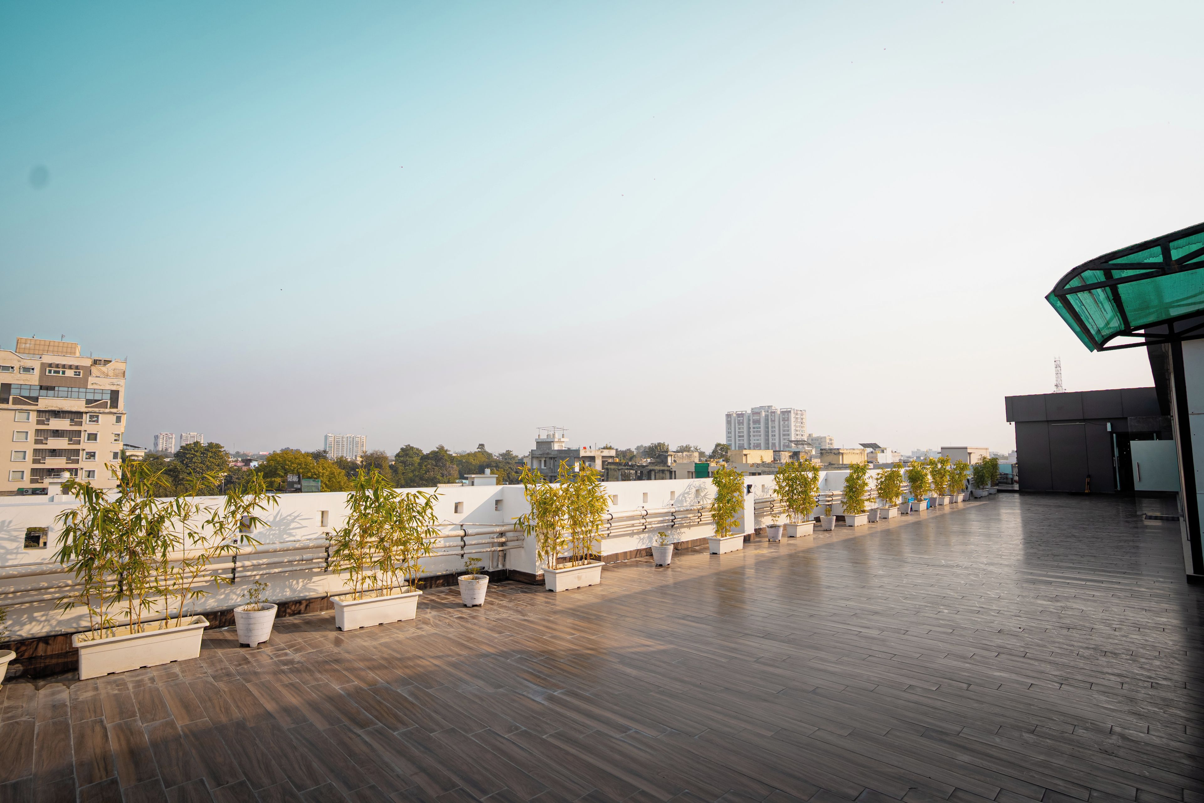 Una terrazza sul tetto con piante in vaso e vista sulla città.