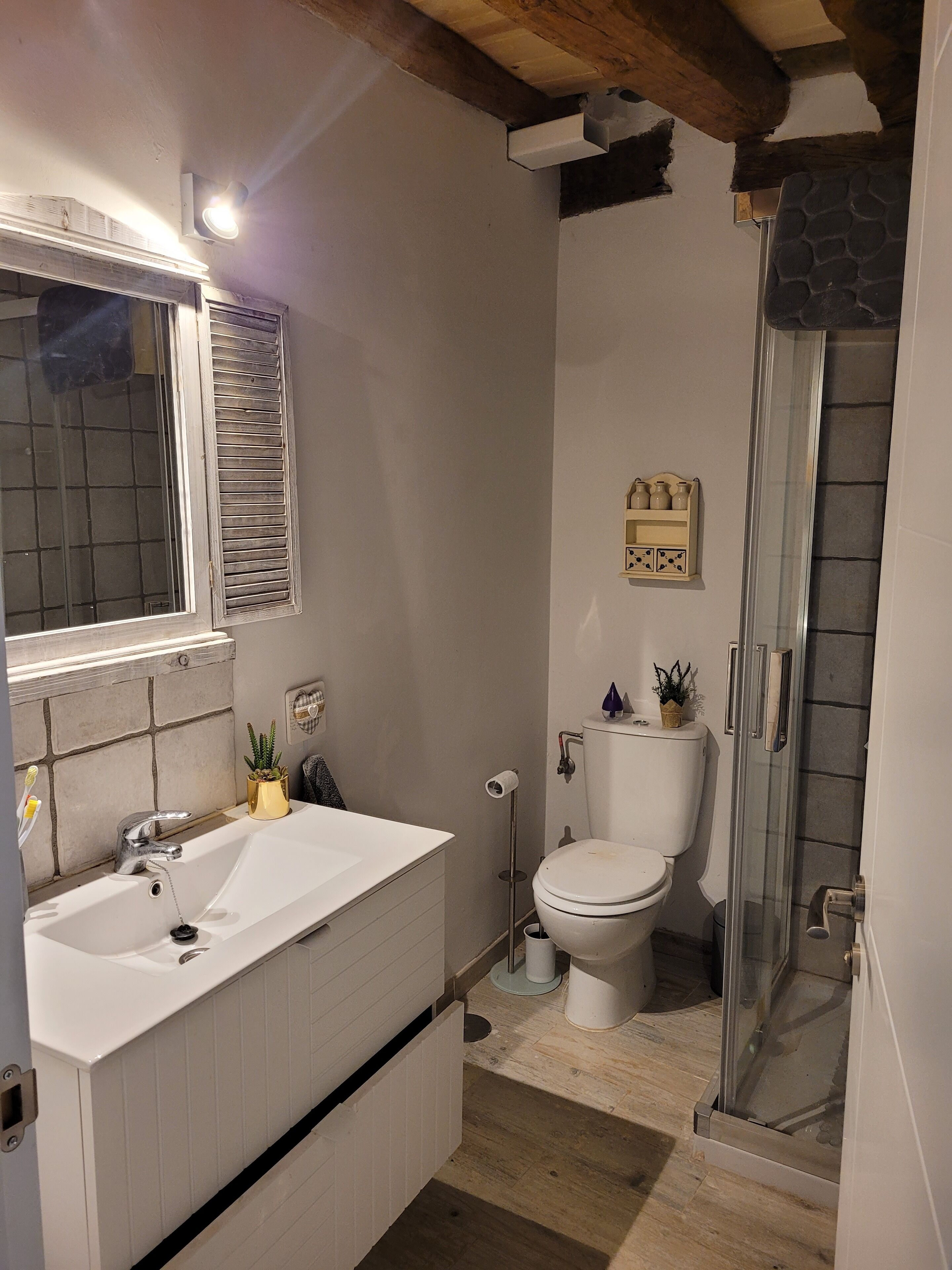 Shower, hair dryer, bidet, towels