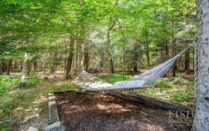 Property grounds - "Morgan Marsh" in the woods, close to Worlds End (Dushore)