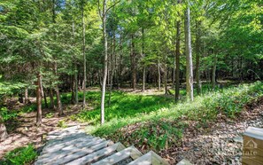 Property grounds - "Morgan Marsh" in the woods, close to Worlds End (Dushore)