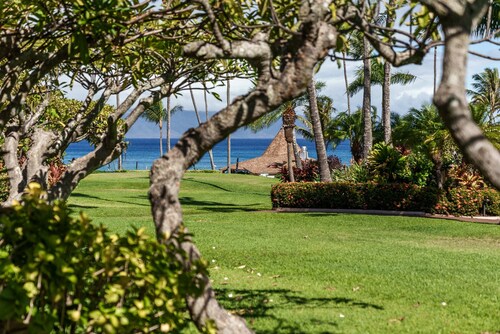 OCEANVIEW 1 BDRM Napili Shores F147 - AC, King bed, ground floor