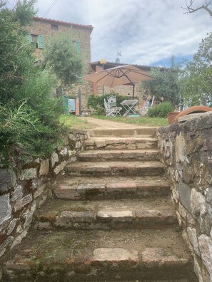 المنطقة المحيطة بالمنشأة