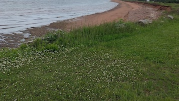 Ranta
