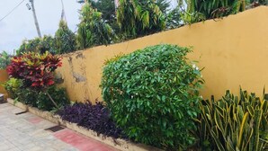 Un sendero pavimentado con un muro amarillo y varias plantas.