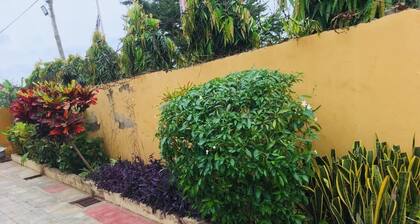 Mcari Guest House; A Home Away From Home New