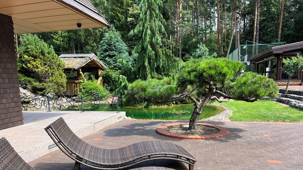 A patio with wicker lounge chairs, a small tree, and a pond.