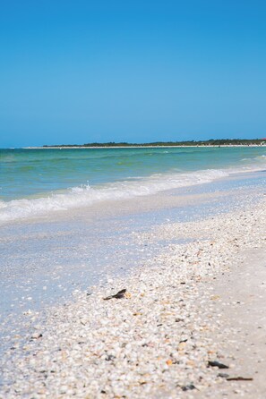 Une plage de galets avec une eau d’un bleu limpide.