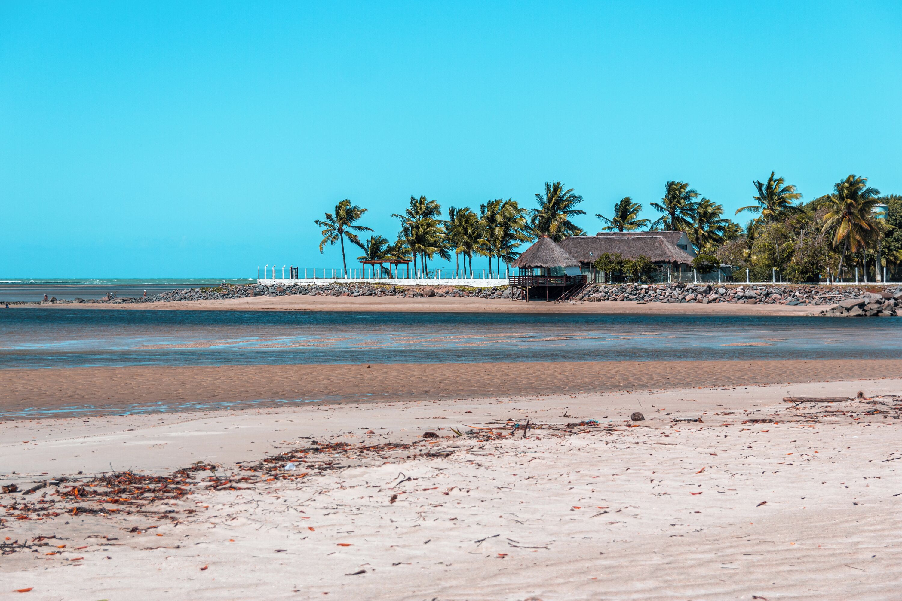 A beach with a thatched-roof hut, palm trees, and a rocky shoreline.