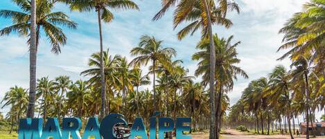 A sign with "MARACAÏPE" and a website address.