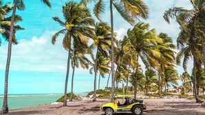 A yellow off-road vehicle parked on a sandy beach with palm trees and a clear blue sky in the background. - Pousada La Bella Luna (Ipojuca)