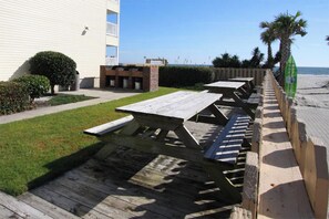 A beachside picnic area with wooden tables and benches, a building in the background, and a palm tree.