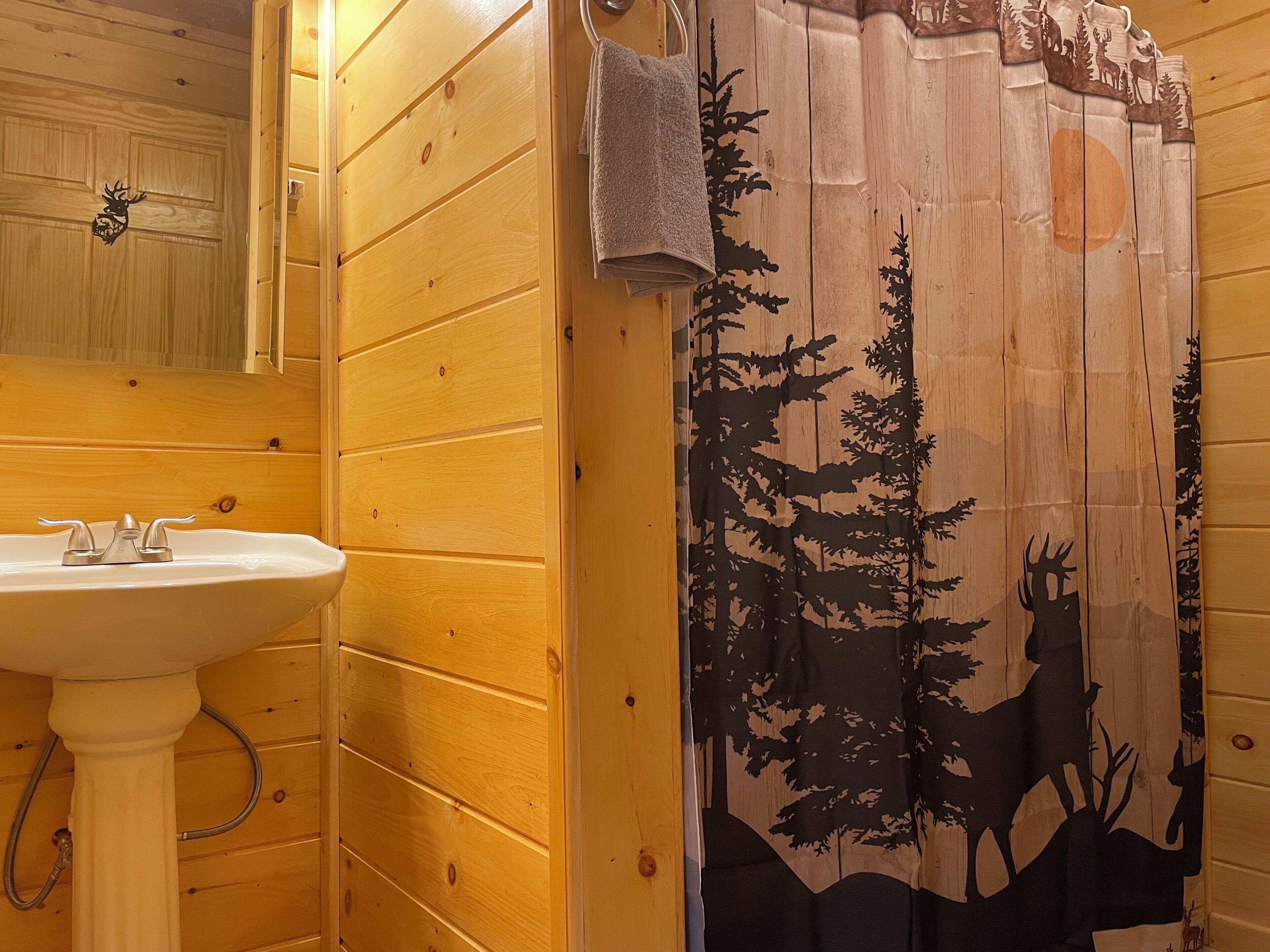 Hair dryer, towels, toilet paper